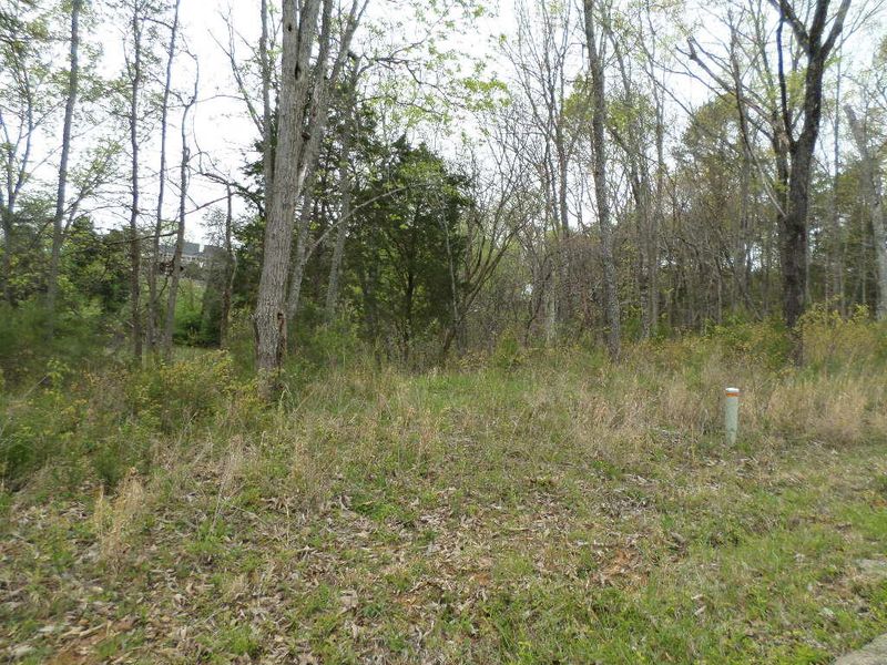 Lot 14 Catherine Crisp Way, Kodak, TN 37764