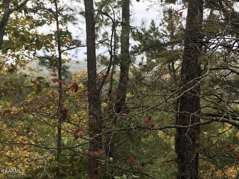 Lot 14 Emerald Springs Loop Rd, Sevierville, TN 37862