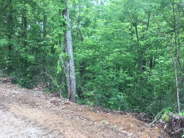 Lot 14 Hickory St, Sevierville, TN 37876