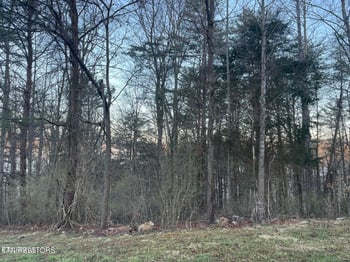 lot 14 Hiwassee Dr, Jacksboro, TN 37757