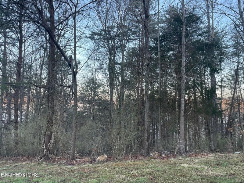 lot 14 Hiwassee Dr, Jacksboro, TN 37757