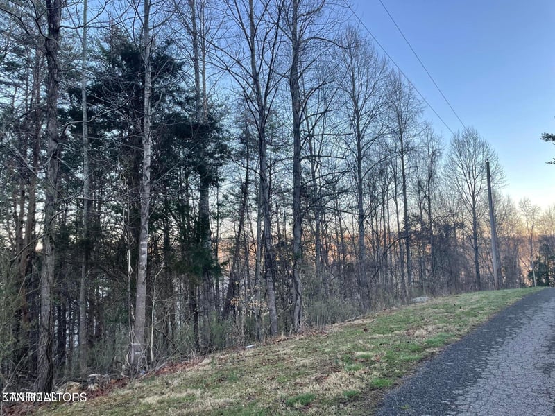 lot 14 Hiwassee Dr, Jacksboro, TN 37757