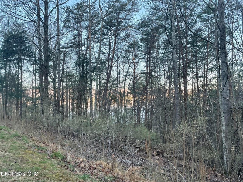 lot 14 Hiwassee Dr, Jacksboro, TN 37757
