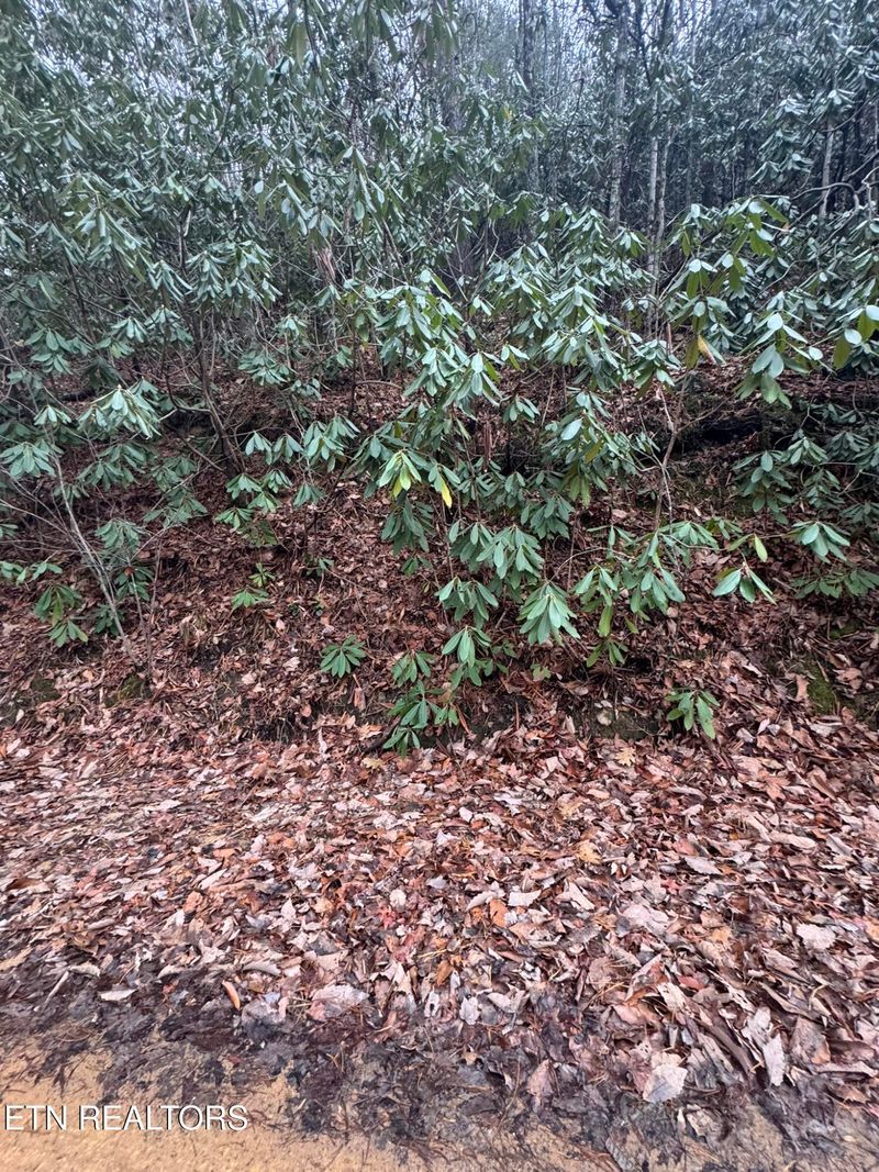Lot 14 John Sevier Dr, Sevierville, TN 37876