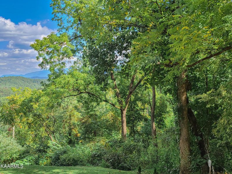 Lot 14 Lonesome Pine Way, Sevierville, TN 37862