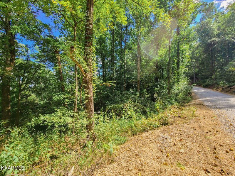 Lot 14 Lonesome Pine Way, Sevierville, TN 37862