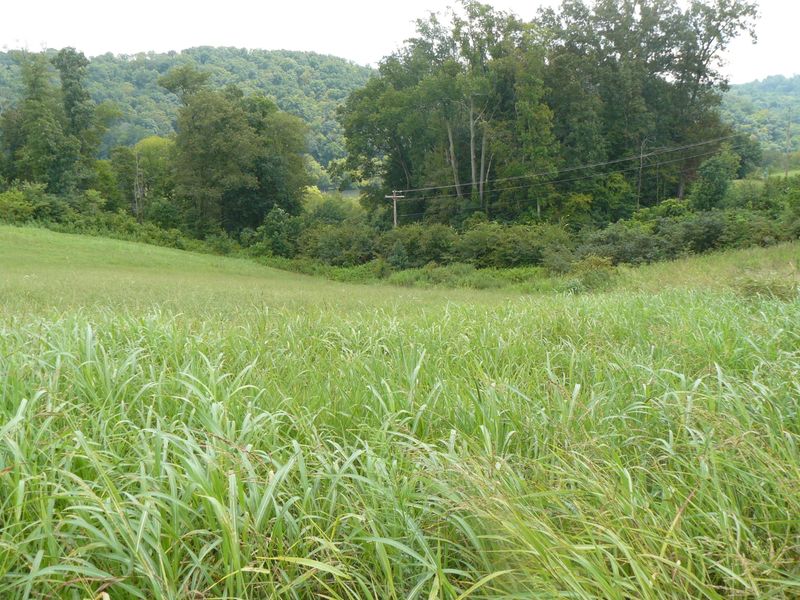 Lot 14 Lookout Dr, Rutledge, TN 37861