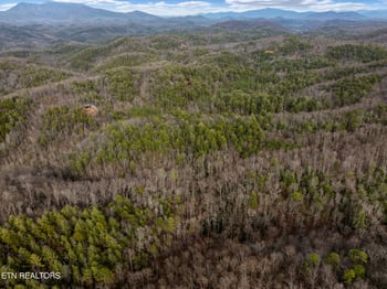 Lot 14 Paint Horse Way, Sevierville, TN 37876
