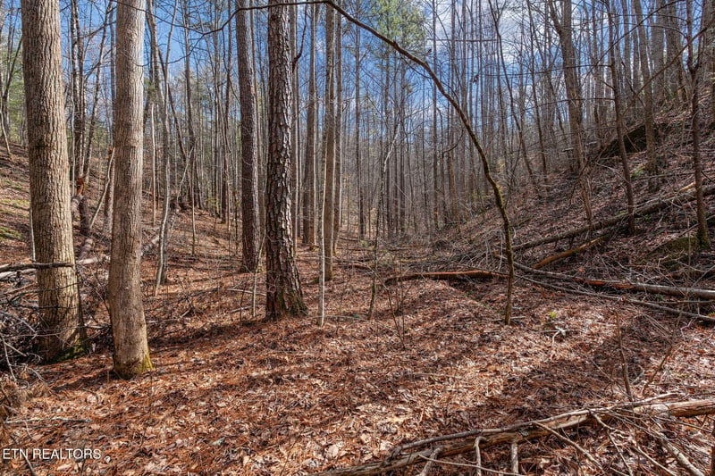 Lot 14 Paint Horse Way, Sevierville, TN 37876
