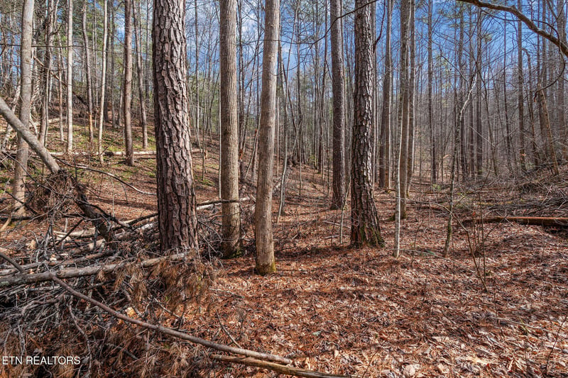 Lot 14 Paint Horse Way, Sevierville, TN 37876