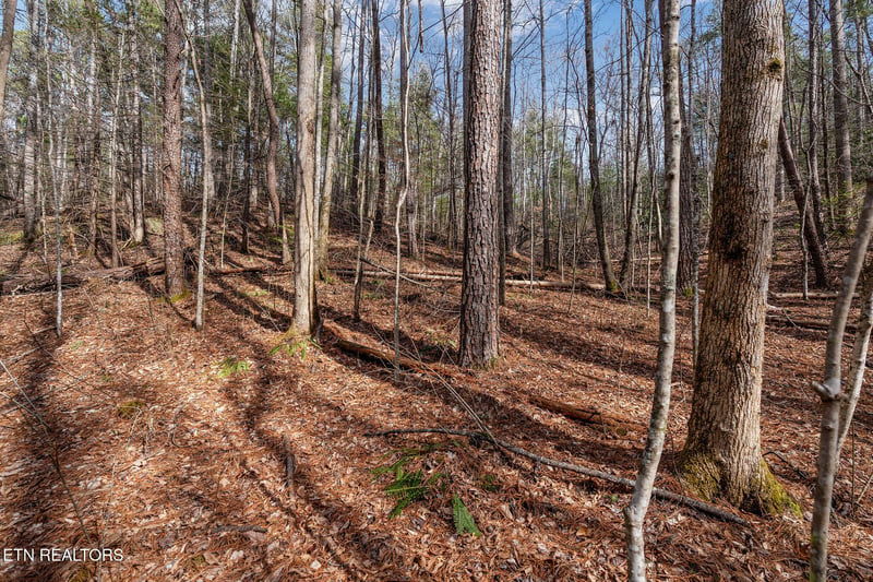 Lot 14 Paint Horse Way, Sevierville, TN 37876