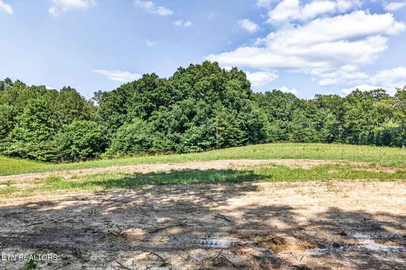 Lot 14 Smith Mountain Rd, Rockwood, TN 37854