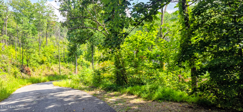 Lot 14 Sugar Maple Loop Rd, Sevierville, TN 37862