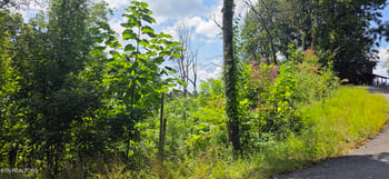 Lot 14 Sugar Maple Loop Rd, Sevierville, TN 37862