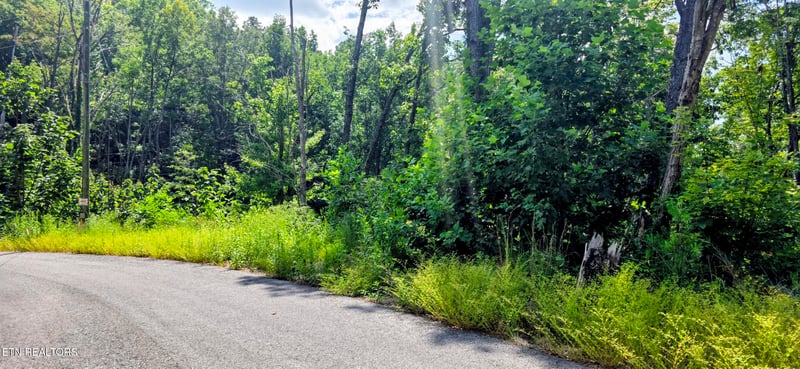 Lot 14 Sugar Maple Loop Rd, Sevierville, TN 37862