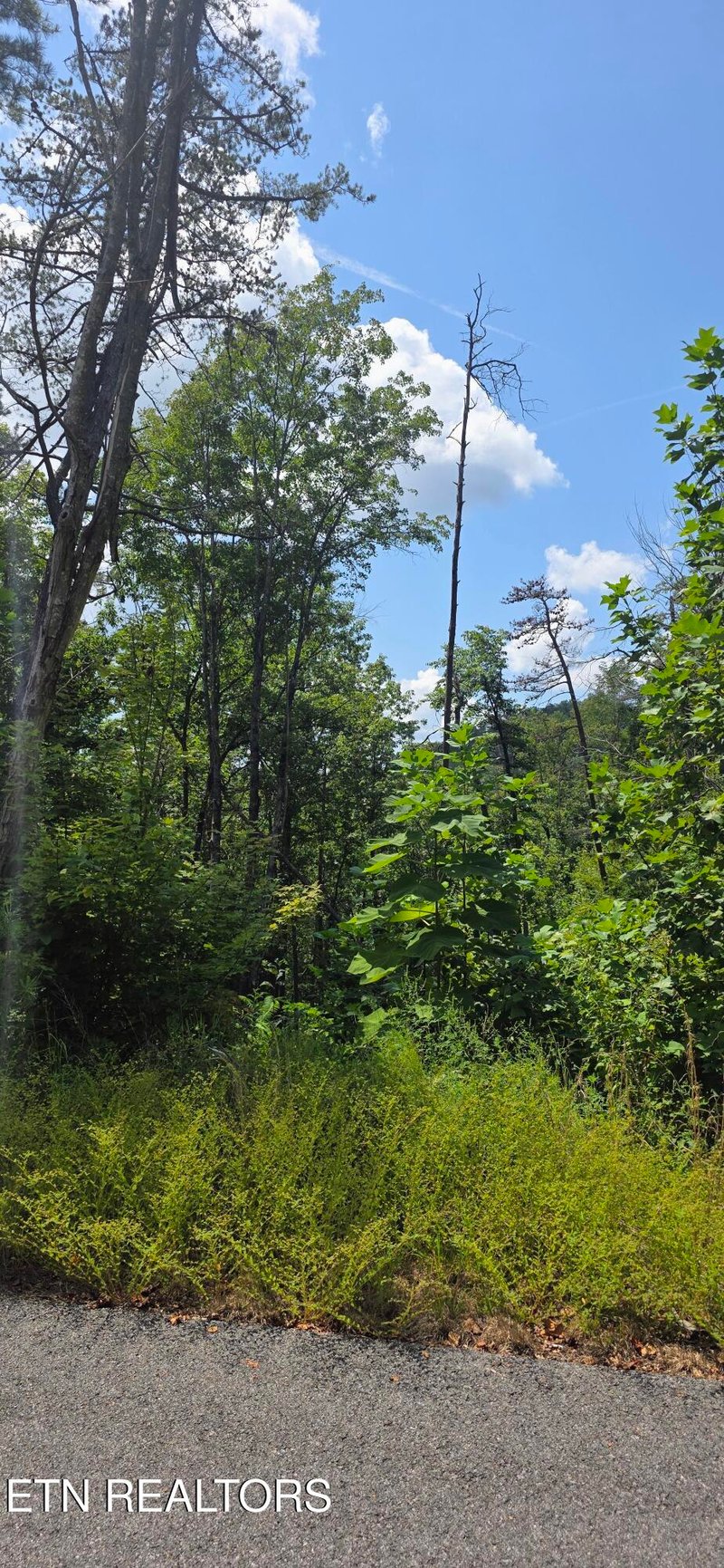 Lot 14 Sugar Maple Loop Rd, Sevierville, TN 37862