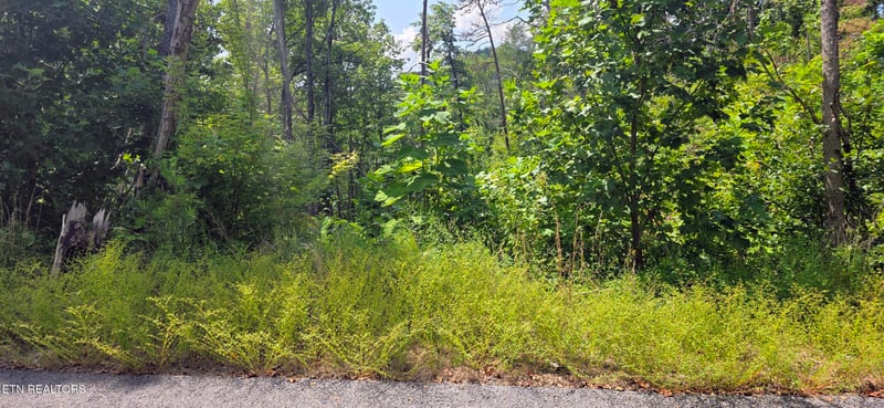 Lot 14 Sugar Maple Loop Rd, Sevierville, TN 37862
