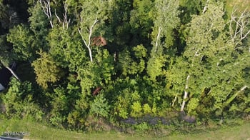 Lot 143 Reedmont Way, Sevierville, TN 37876