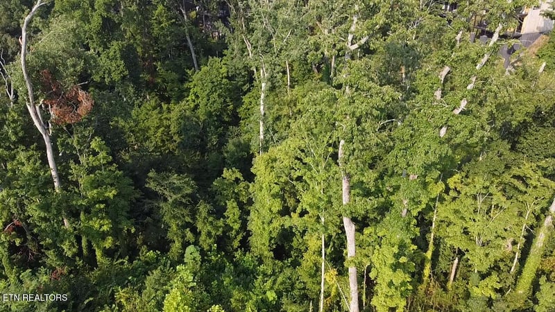 Lot 143 Reedmont Way, Sevierville, TN 37876