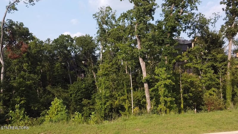 Lot 143 Reedmont Way, Sevierville, TN 37876