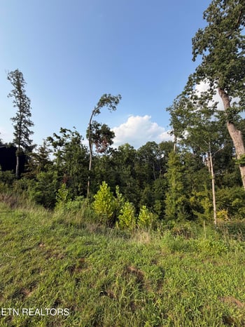Lot 143 Reedmont Way, Sevierville, TN 37876