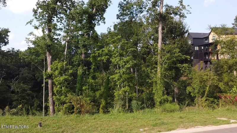 Lot 144 Reedmont Way, Sevierville, TN 37876