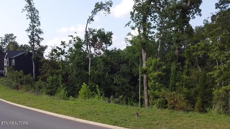 Lot 144 Reedmont Way, Sevierville, TN 37876