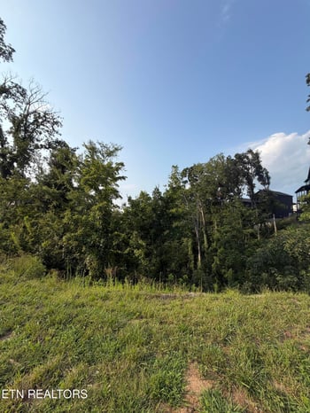 Lot 144 Reedmont Way, Sevierville, TN 37876