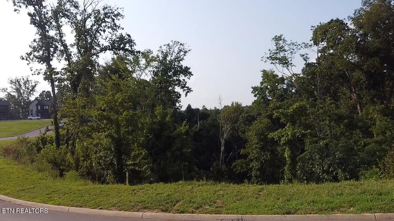 Lot 145 Reedmont Way, Sevierville, TN 37876