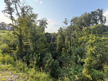 Lot 145 Reedmont Way, Sevierville, TN 37876