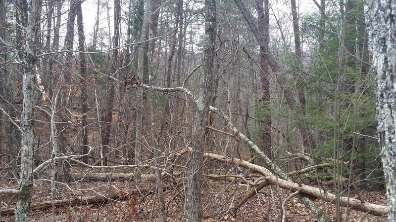 Lot 145 Ridgecrest Dr, Sevierville, TN 37862