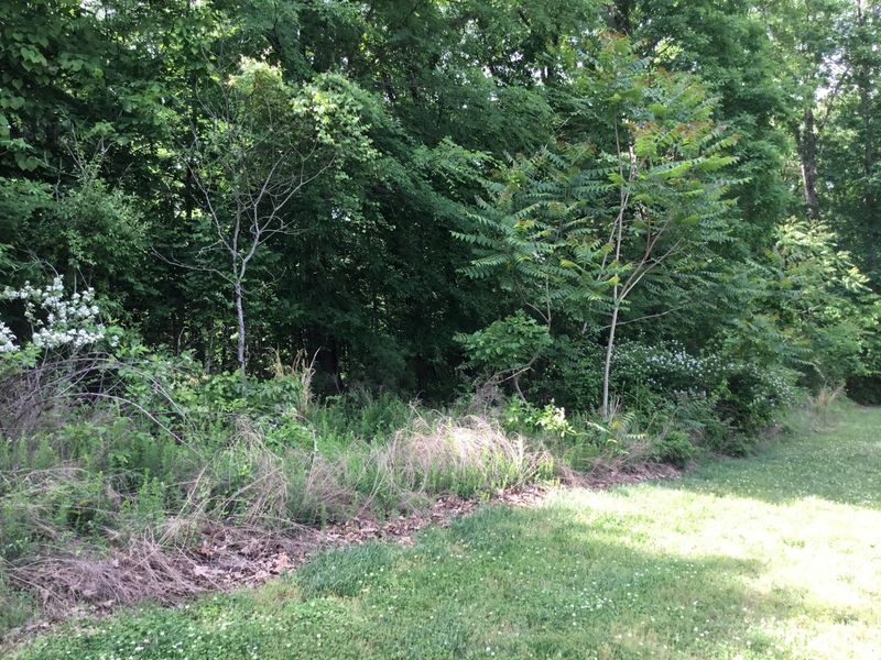 Lot 149 E Shore Dr, Rockwood, TN 37854