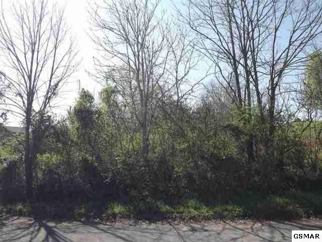 Lot 15 Aaron Ct, Sevierville, TN 37876