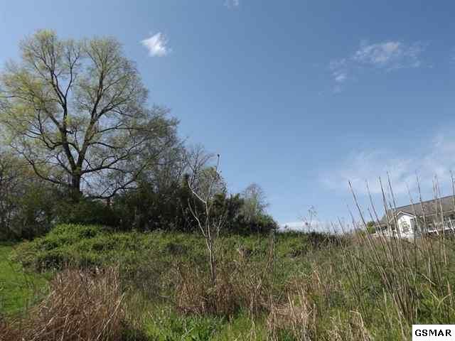 Lot 15 Aaron Ct, Sevierville, TN 37876