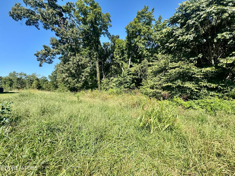 Lot 15 Bridgewater Blvd, Morristown, TN 37814