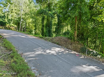 Lot 15 Davenport Rd, Gatlinburg, TN 37738