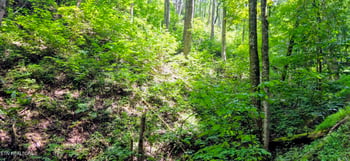 Lot 15 Emerald Springs Loop, Sevierville, TN 37862