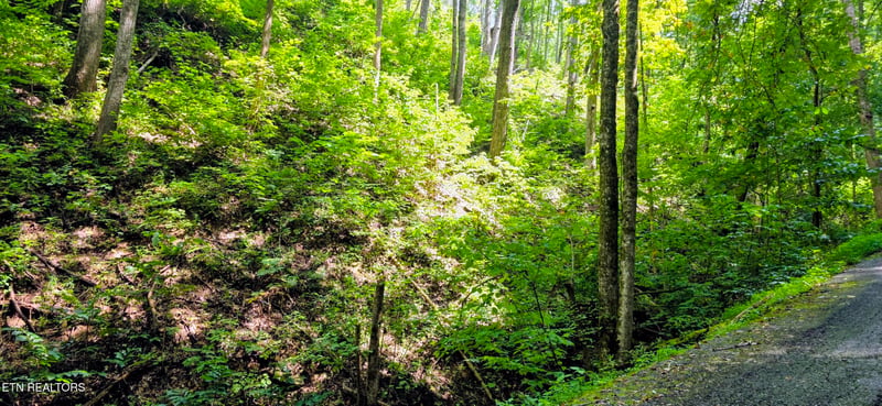 Lot 15 Emerald Springs Loop, Sevierville, TN 37862