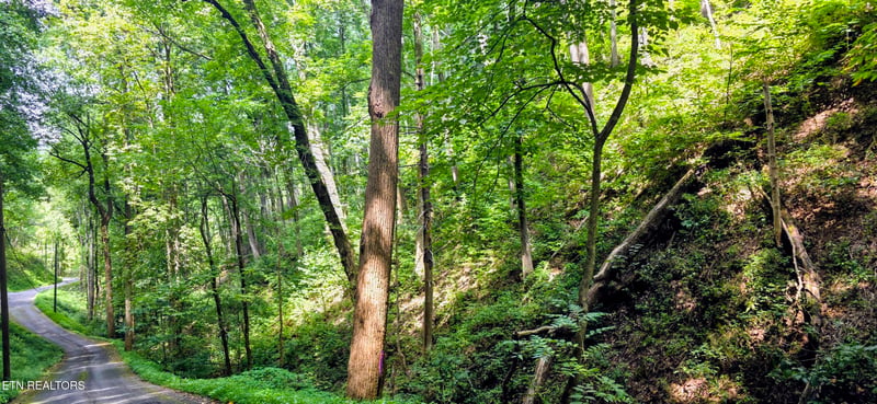Lot 15 Emerald Springs Loop, Sevierville, TN 37862