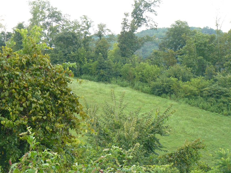 Lot 15 Lookout Dr, Rutledge, TN 37861