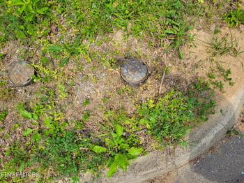 Lot 15 Peace Ln, Cosby, TN 37722
