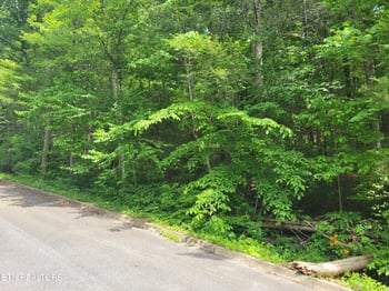 Lot 15 Peace Ln, Cosby, TN 37722