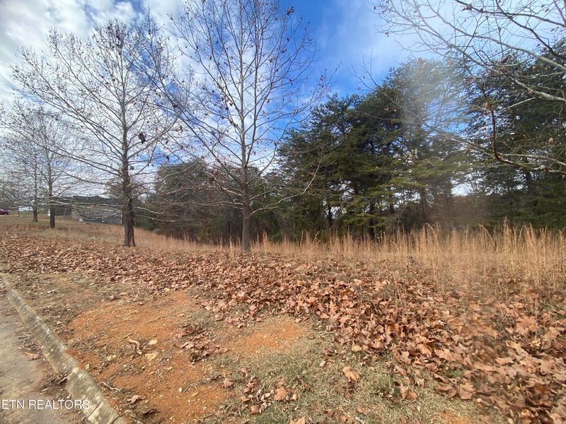 Lot 15 River Cliff Dr, Kodak, TN 37764
