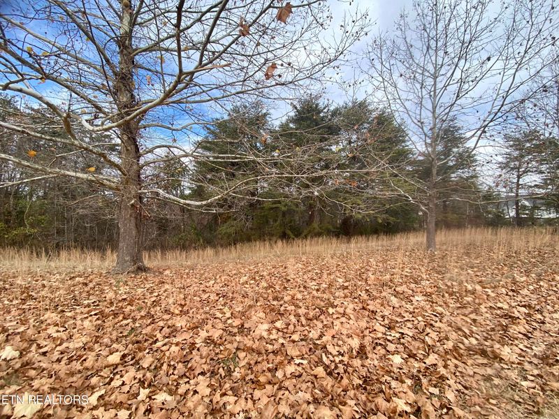Lot 15 River Cliff Dr, Kodak, TN 37764