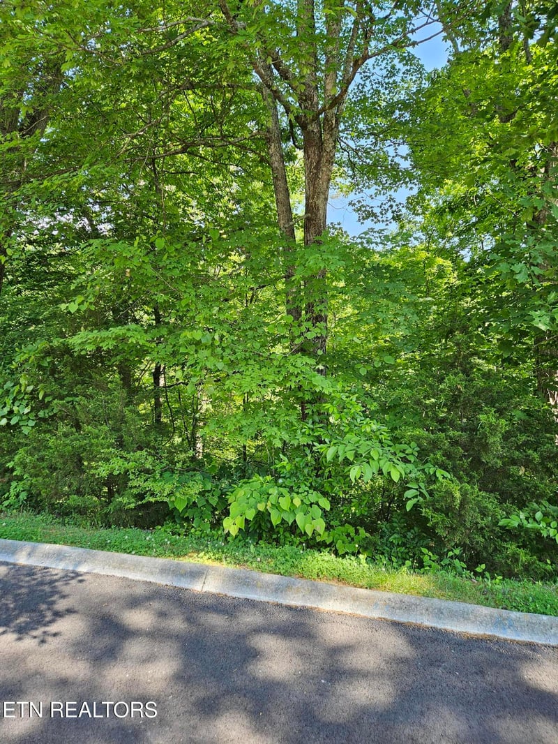 lot 15 Saddleback Way, Sevierville, TN 37862