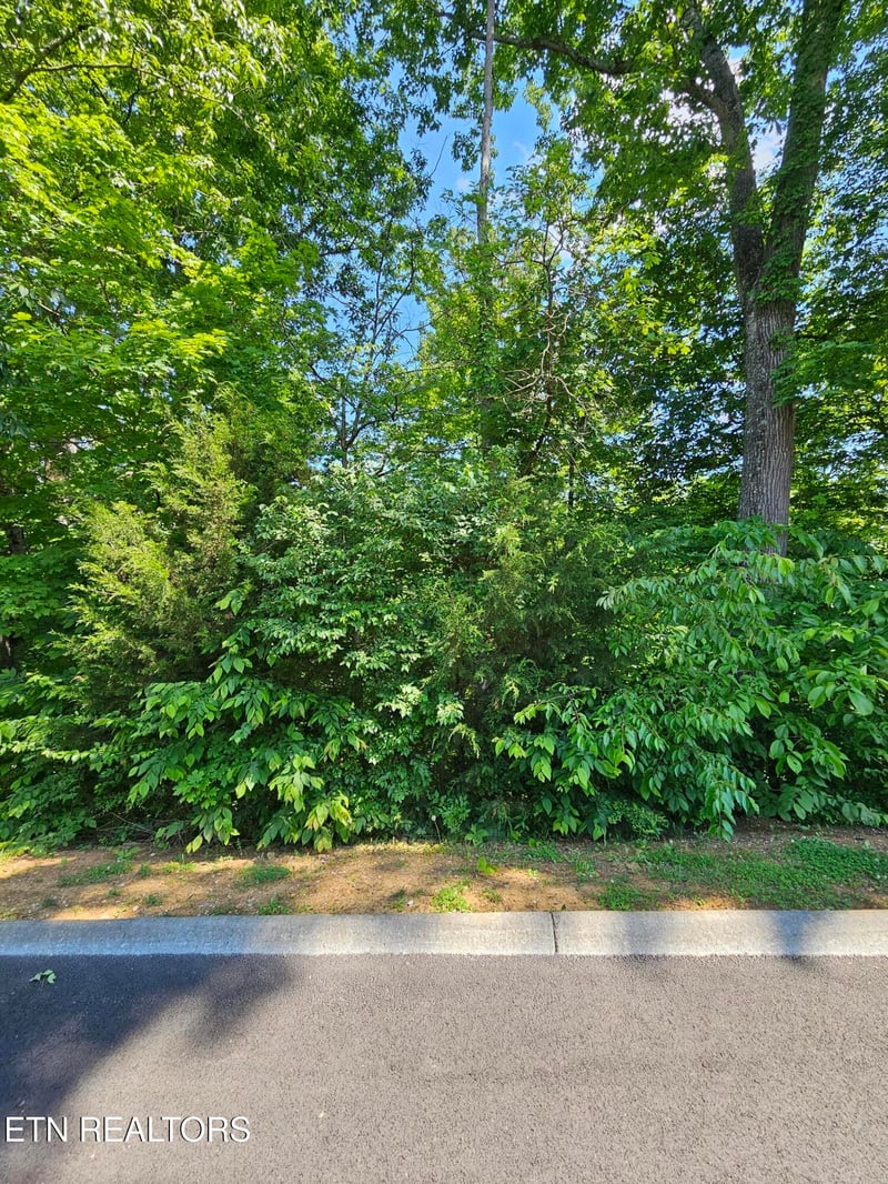 lot 15 Saddleback Way, Sevierville, TN 37862