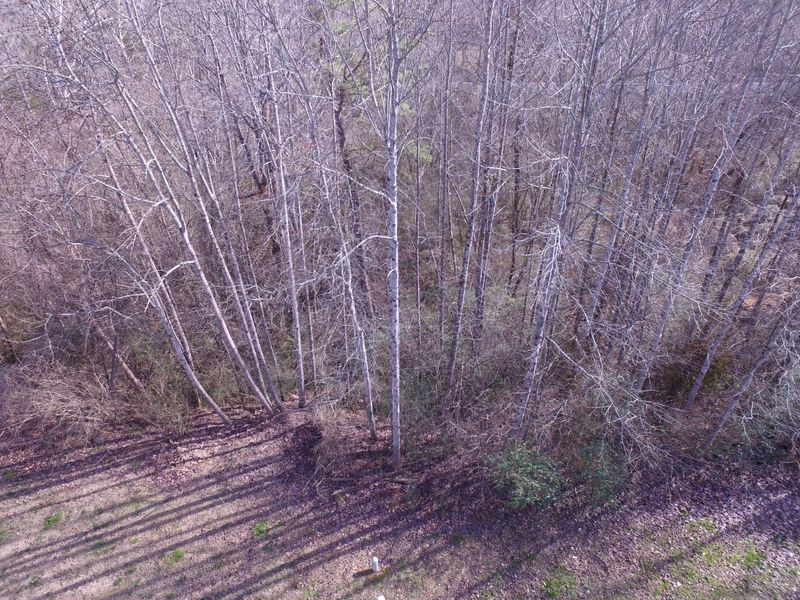 Lot 15 Split Oak Dr, Knoxville, TN 37920