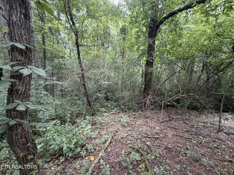 Lot 15 Sunrise Blvd, Kodak, TN 37764