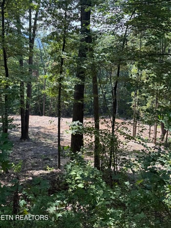 Lot 150 Mountaineer Tr, Sevierville, TN 37862
