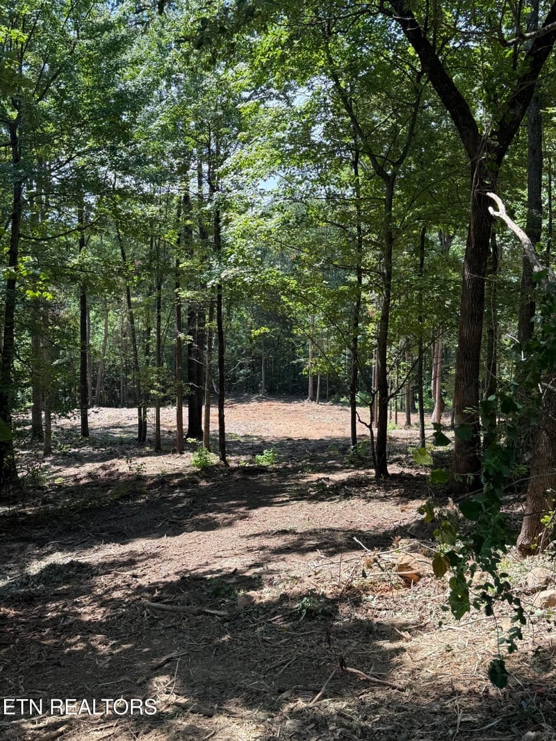 Lot 150 Mountaineer Tr, Sevierville, TN 37862